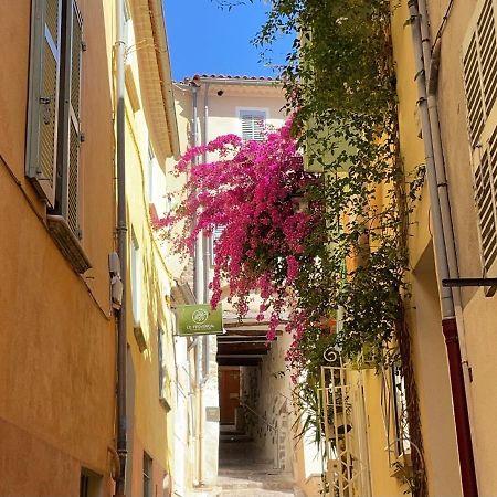 Appartement Palmiers, Coeur De Ville Sur Le Parcours Des Arts Hyeres Luaran gambar